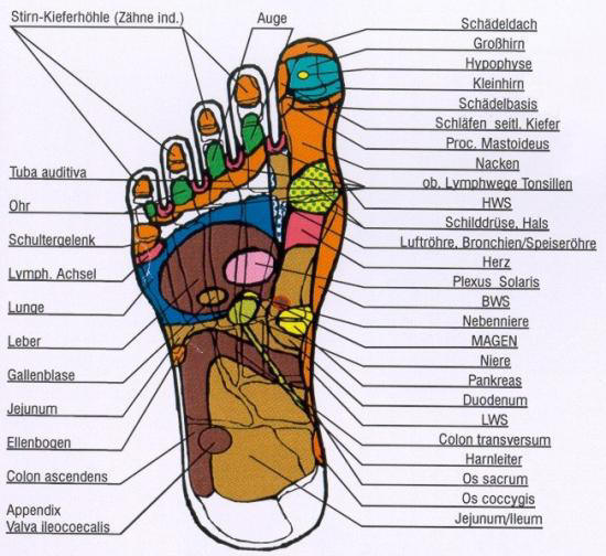 Bild Fussreflexzonen